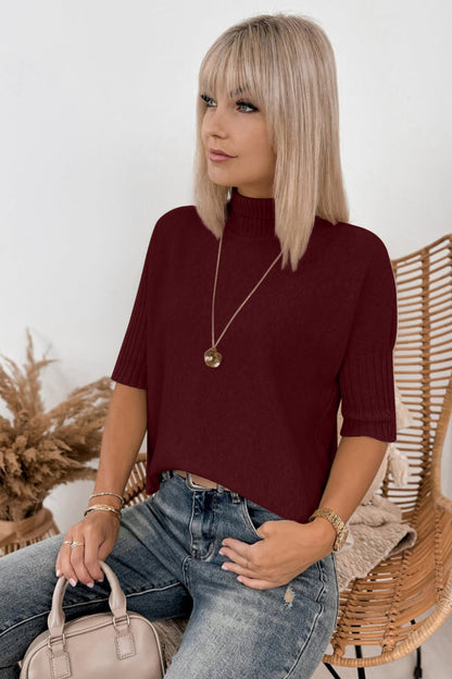 Ribbed Trim High Neck Short Sleeve Casual Sweater